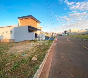 WhatsApp Image 2024-11-01 at 13.52.48